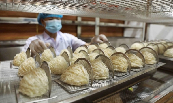 Thương nhân Trung Quốc đưa ra 5 kiến nghị giúp nâng cao giá trị nông sản Việt