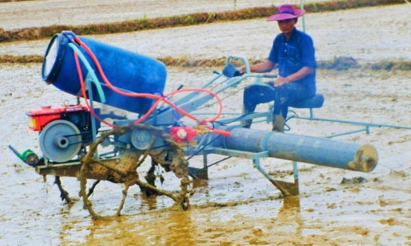 Bình Thuận tập trung giải pháp giảm chi phí sản xuất vụ đông xuân