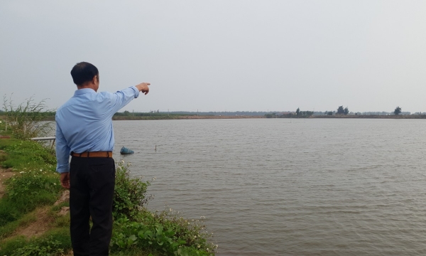 Nam Định 'đổi thủy sản lấy công nghiệp': [Bài 1] Thu hồi trắng gần 100ha đầm bãi làm kênh thoát nước khu công nghiệp