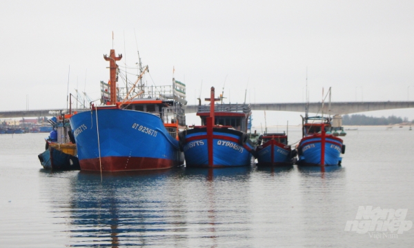Fishing vessels without cruise monitoring system demanded to stop operation