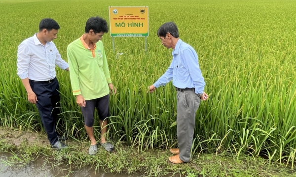'Smart rice farming' is suggested to be expanded nationwide