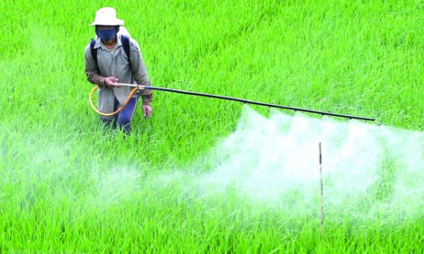 Building 50 models of key crops using safe pesticides