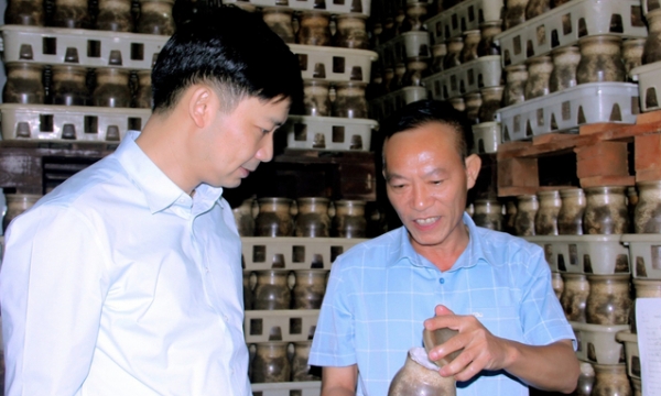 Khẳng định chất lượng nấm Việt từ ứng dụng công nghệ sinh học