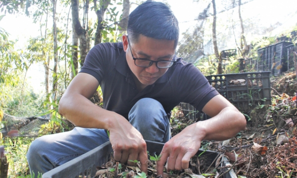 Cơ hội đổi đời nhờ 'báu vật' dưới tán rừng Lai Châu