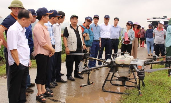 Raise the Vietnam Agricultural Extension to the level of integration