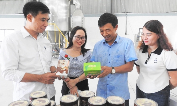 Doanh nghiệp đầu tiên chế biến sâu lúa gạo ở Hà Tĩnh