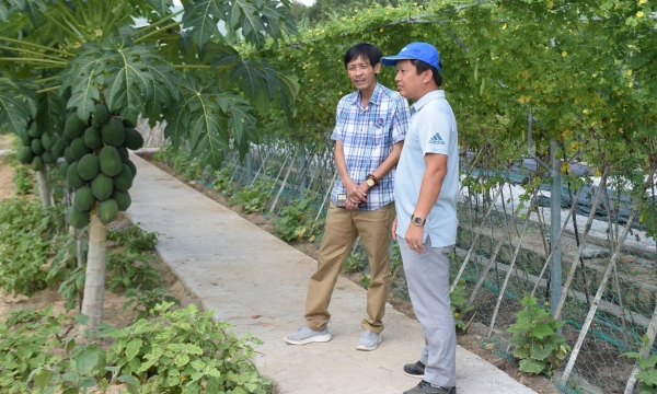 Độc đáo trang trại hữu cơ tuần hoàn ở vùng nóng nhất Bình Định