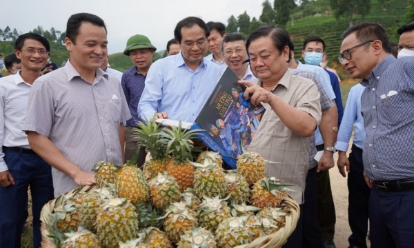 Sức bật của nông nghiệp Lào Cai năm 2023
