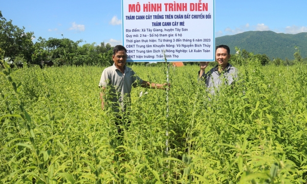 Khuyến nông Bình Định và dấu ấn trong tái cơ cấu nông nghiệp