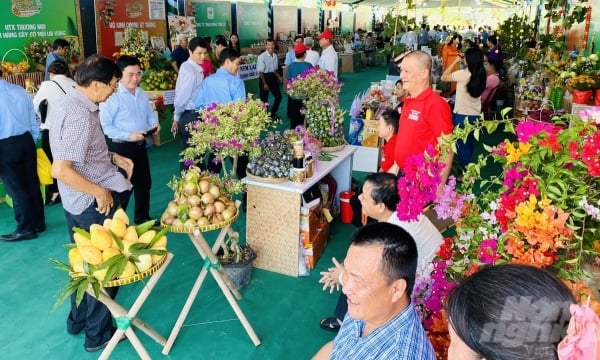 Ngày hội Nông sản Lai Vung thu hút hơn 25 ngàn lượt khách tham quan