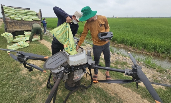 Dùng thiết bị bay bón phân hữu cơ trên đồng lúa