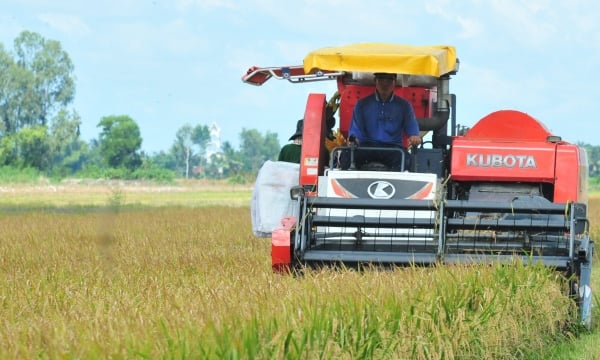 Phát triển nông nghiệp, nông thôn gắn với Đề án 1 triệu ha lúa