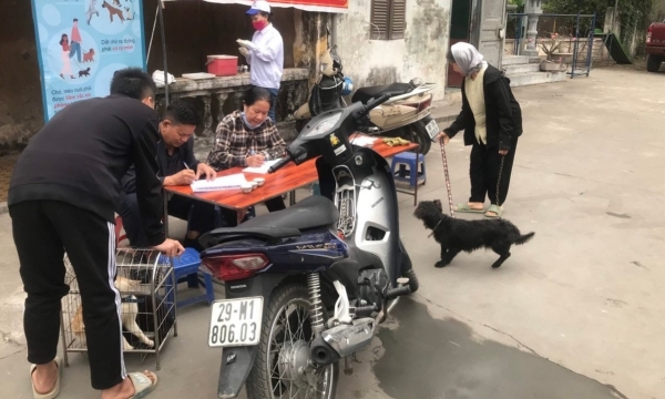 Nguy cơ bệnh dại vẫn len lỏi ở các huyện ngoại thành Hà Nội