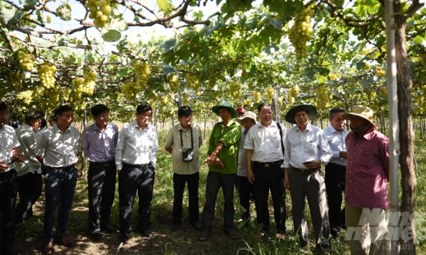 Giáo sư Đại học Kyoto gợi ý giải pháp cải thiện sức khỏe đất