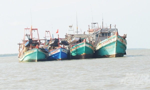 Kien Giang cuts down over 700 fishing vessels affecting resources