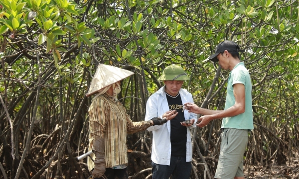 How mangrove forests create people’s livelihoods
