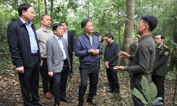 Strengthening the Party’s leadership in forest management, protection and development