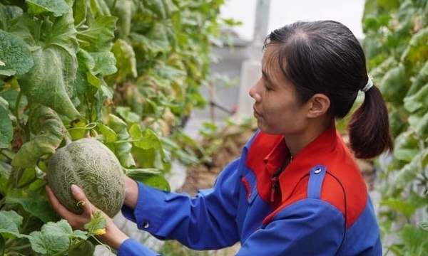 Women’s Work: time to recognize their critical role in agriculture – and invest in it!