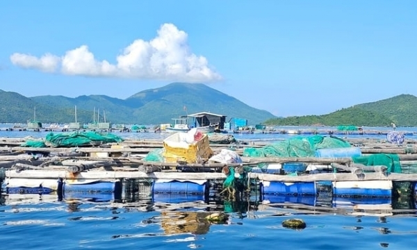 Challenges in Khanh Hoa province's marine farming sector