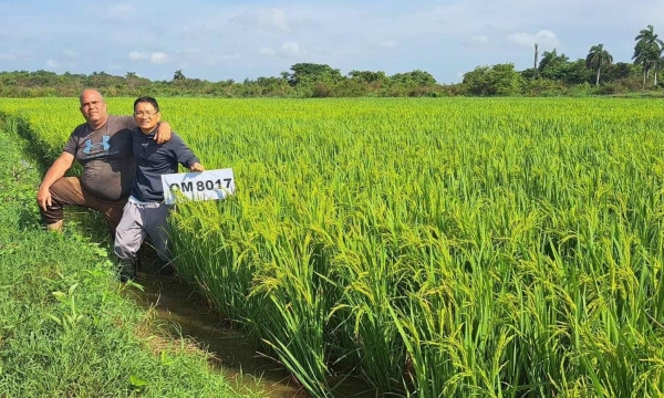 Việt Nam tiếp tục hỗ trợ Cuba đổi mới sản xuất nông sản, thủy sản