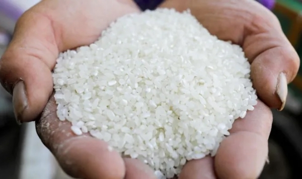 Analysis: Strong Asian rice demand for animal feed sparks food supply worries
