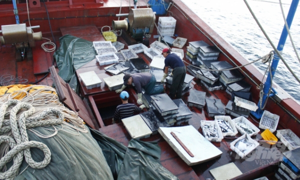Solution for seafood preservation on offshore fishing vessels