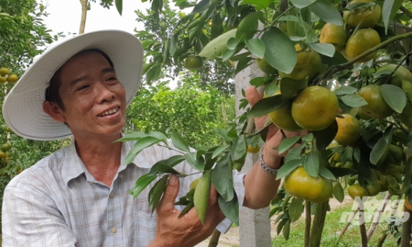 Building modern and large-scale agricultural products supply centers in the Mekong Delta