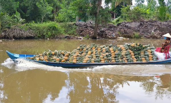 Potential for agro-product focal centers in the Mekong Delta