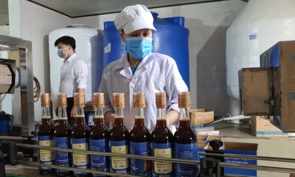Hai Phong develops agricultural digital economy, promotes export of agricultural products