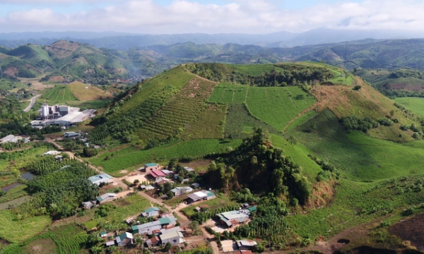 Getting rich from a volcanic field - story of a farmer in Dak Nong
