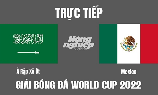 Trực tiếp Ả Rập Saudi vs Mexico trên VTV2 tại World Cup 2022 ngày 1/12