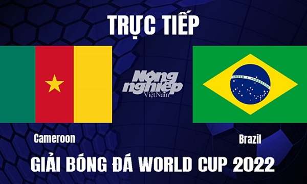Trực tiếp Cameroon vs Brazil trên VTV3, VTV Cần Thơ ngày 3/12
