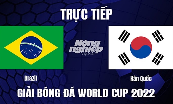 Trực tiếp Brazil vs Hàn Quốc trên VTV3, VTV Cần Thơ ngày 6/12