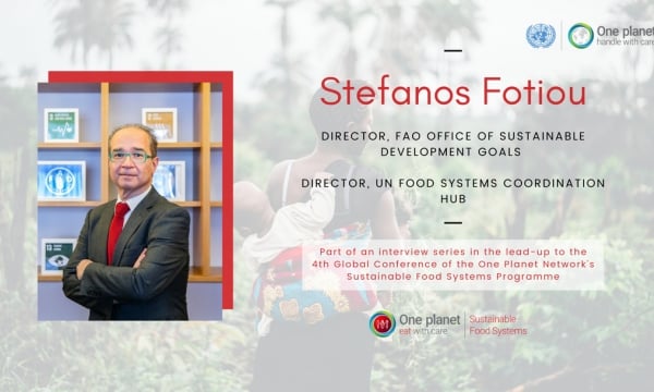 FAO expert: No country can promote sustainable food systems alone