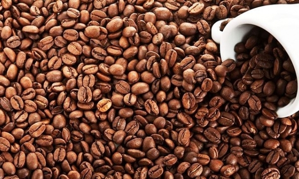 Coffee price today 05/12/2023: sharp decrease to VND 1,200/kg
