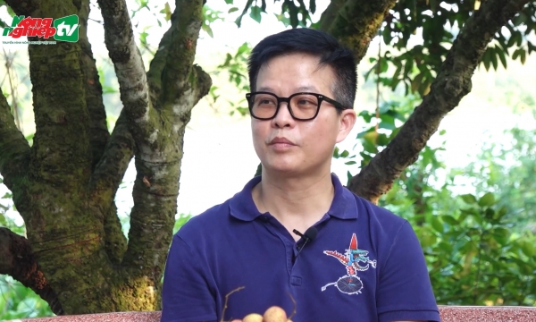 Ameii Vietnam’s plan for lychee consumption in 2023