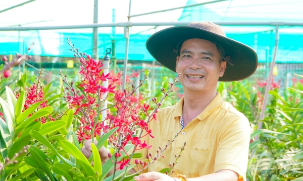The climatic flower variety in Tay Ninh 'boiling pan'