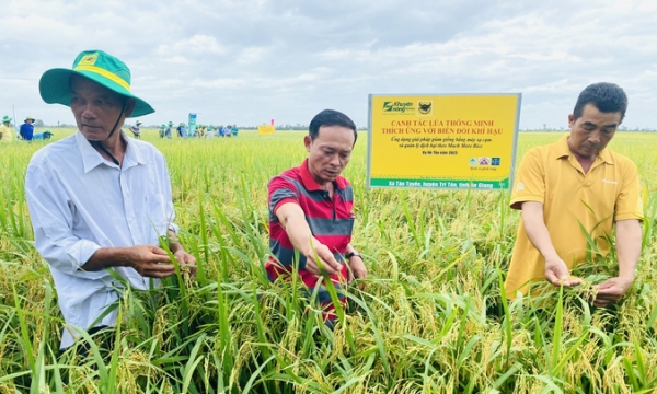 Healthy rice, healthy people due to smart farming