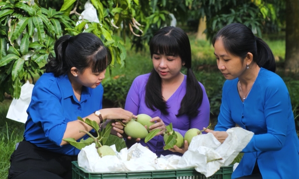 Continue to improve quality and standards compliance capacity of Vietnamese fruits