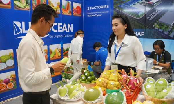International buyers seek specific qualities in Vietnamese agricultural products