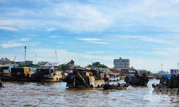 The overview on the Mekong Delta's water sources and natural disaster resilience