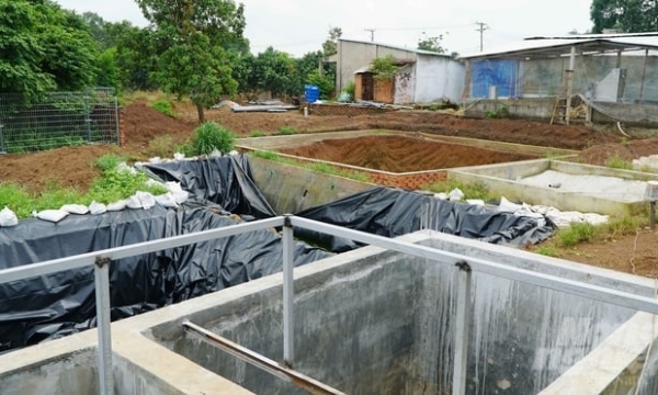Cả huyện đầu tư hệ thống biogas đạt chuẩn để 'chăn nuôi xanh'
