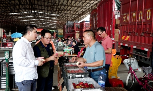 Cross-border logistics: A step forward for Vietnamese agricultural exports