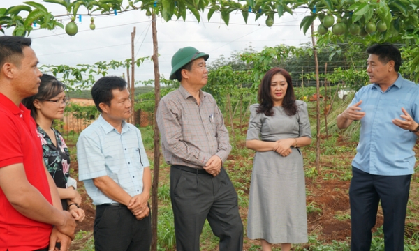 Vietnam Agricultural Extension: Message of the age of 30 - Trust and Responsibility
