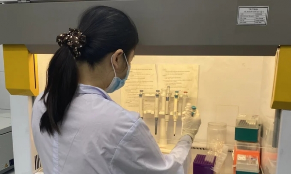 1,900 bird flu virus samples under genome sequencing in the US
