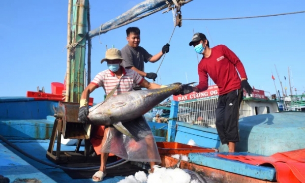 Preserving ocean tuna using nanotechnology can meet export demands