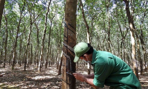 Three solutions to help green the rubber industry