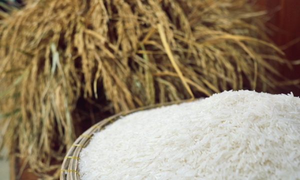 Giá gạo góp phần tăng chỉ số CPI tháng đầu năm 2024