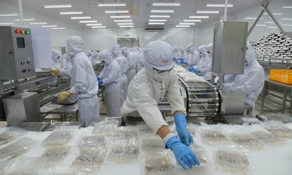 What 'big waves' do seafood exports face?