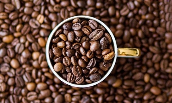 Coffee prices on 03/26/2024: Domestic prices increased sharply